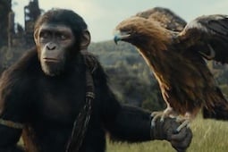 Kingdom of the Planet of the Apes: trailer, story, cast and release date